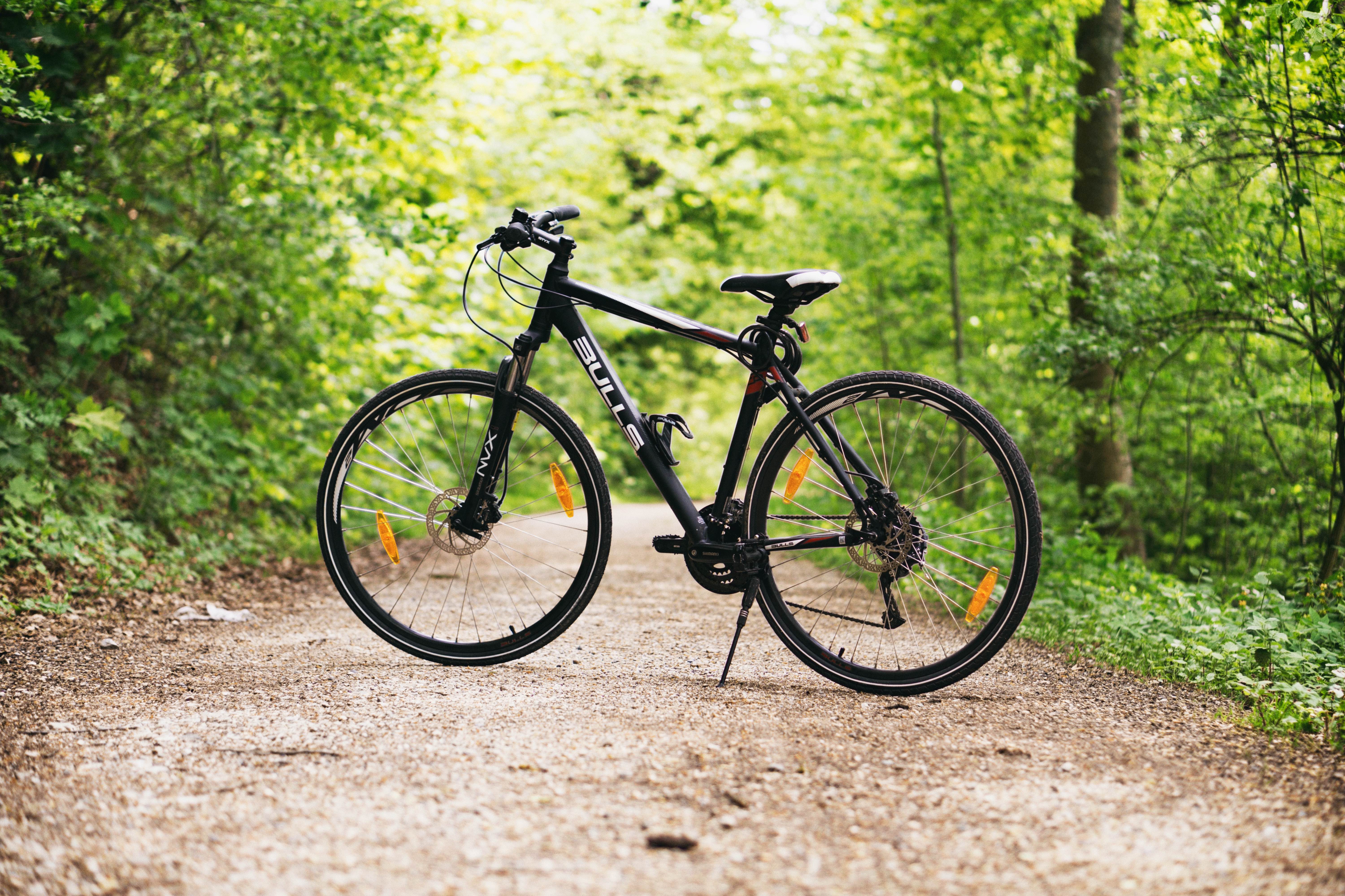 Le vélo se déchaine