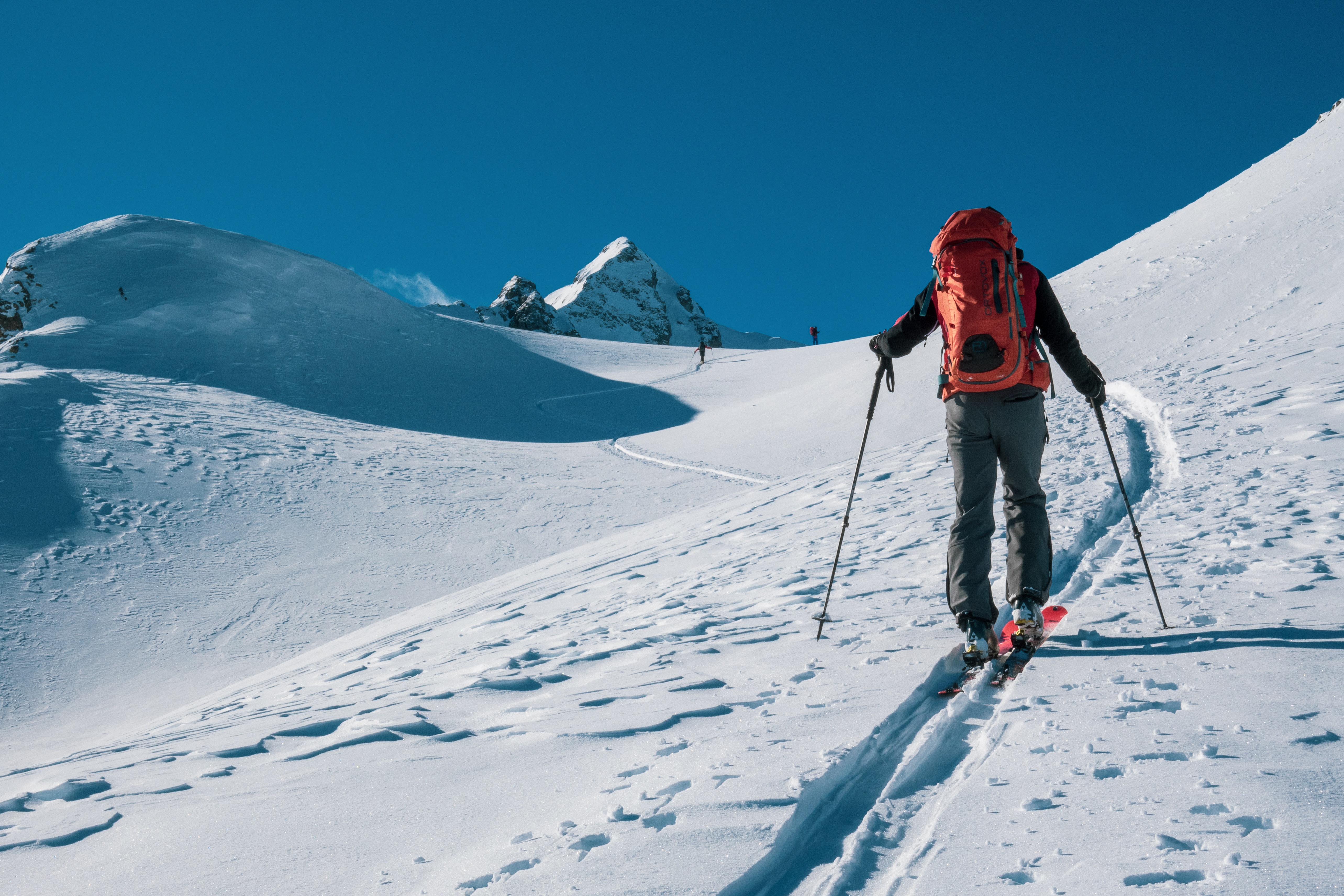 Le ski de fond, un sport complet, un sport pour tous