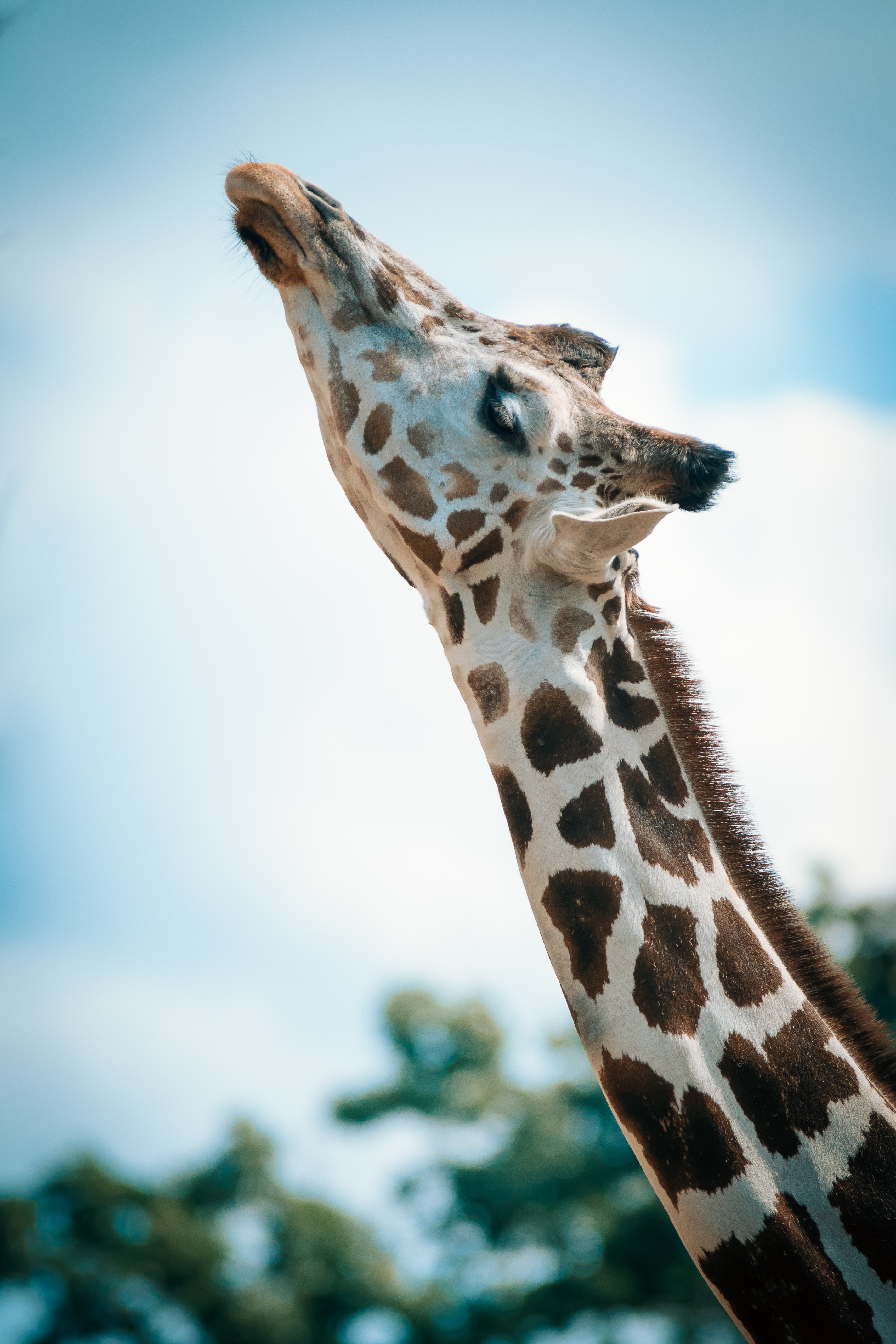 zoo france